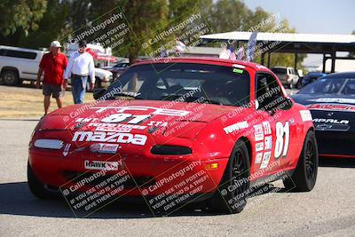 media/Oct-14-2023-CalClub SCCA (Sat) [[0628d965ec]]/Around the Pits/